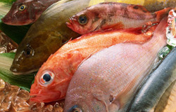 ۶ غذای قلب؛ از ماهی تا اسفناج